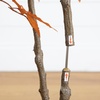 image:imageNearly Natural 4ft Autumn Japanese Maple Artificial Fall Tree  CopperyRed Foliage  Indoor Decor  No Maintenance