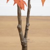 image:imageNearly Natural 4ft Autumn Japanese Maple Artificial Fall Tree  CopperyRed Foliage  Indoor Decor  No Maintenance