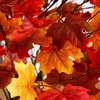 image:imageNearly Natural 4ft PreLit Deluxe Autumn Maple Artificial Fall Tree with 68 Warm White LED Lights
