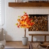 image:imageNearly Natural 4ft PreLit Shades of Autumn Maple Artificial Fall Tree with 180 Warm White LED Lights