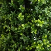 image:imageNearly Natural 4ft UV Resistant Artificial Boxwood Plant with Integrated Ground Stake  Set of 2