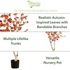 image:imageNearly Natural 5 ft Artificial Autumn Birch Tree Fall Foliage Room Decor