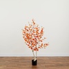 image:imageNearly Natural 5 ft Artificial Autumn Birch Tree Fall Foliage Room Decor