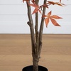 image:imageNearly Natural 5ft Autumn Japanese Maple Artificial Fall Tree  CopperyRed Foliage  Indoor Decor  Bendable Branches