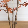 image:imageNearly Natural 5ft Autumn Japanese Maple Artificial Fall Tree  CopperyRed Foliage  Indoor Decor  Bendable Branches