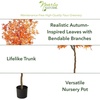 image:imageNearly Natural 5ft Autumn Maple Artificial TreeOrange