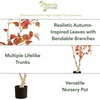 image:imageNearly Natural 6 ft Artificial Autumn Birch Tree Lifelike Fall Room Decor
