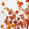 image:imageNearly Natural 6FT Prelit Artificial Autumn Eucalyptus Tree with 300 Warm White LED Lights Faux Eucalyptus Tree with Fall Colors for Home amp Office Dcor in Black Nursery Planter