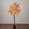 image:imageNearly Natural 6FT Prelit Artificial Autumn Eucalyptus Tree with 300 Warm White LED Lights Faux Eucalyptus Tree with Fall Colors for Home amp Office Dcor in Black Nursery Planter