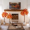image:imageNearly Natural 6ft PreLit Shades of Autumn Maple Artificial Fall Tree with 360 Warm White LED Lights