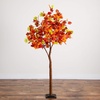 image:imageNearly Natural 6ft PreLit Shades of Autumn Maple Artificial Fall Tree with 360 Warm White LED Lights