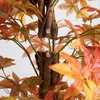 image:imageNearly Natural 7ft Autumn Deluxe Maple Artificial Fall Tree  Harvest Season Decor  Indoor Faux Plant Display