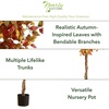 image:imageNearly Natural 7ft Autumn Ficus Artificial Fall Tree