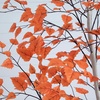 image:imageNearly Natural 7ft Autumn Paper Birch Artificial Fall Tree  Lifelike Foliage for Seasonal Home Dcor