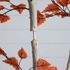 image:imageNearly Natural 7ft Autumn Paper Birch Artificial Fall Tree  Lifelike Foliage for Seasonal Home Dcor