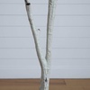 image:imageNearly Natural 7ft Autumn Paper Birch Artificial Fall Tree  Lifelike Foliage for Seasonal Home Dcor