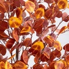 image:imageNearly Natural 7ft PreLit Grand Autumn Eucalyptus Artificial Fall Tree with 420 Warm White LED Lights