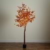 image:imageNearly Natural 7ft PreLit Grand Autumn Eucalyptus Artificial Fall Tree with 420 Warm White LED Lights