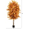 image:imageNearly Natural 8ft Autumn Ficus Artificial Fall Tree