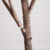 image:imageNearly Natural 8ft Autumn Oak Artificial Fall Tree