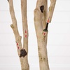 image:imageNearly Natural 9ft Autumn Birch Artificial Fall Tree