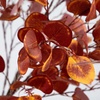 image:imageNearly Natural 9ft PreLit Grand Autumn Eucalyptus Artificial Fall Tree with 700 Warm White LED Lights