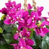 image:imageNearly Natural Bougainvillea Hanging Basket UV Resistant IndoorOutdoorPurple