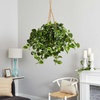 image:imageNearly Natural Pothos Hanging Basket UV Resistant IndoorOutdoor