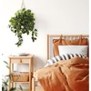 image:imageNearly Natural Pothos Hanging Basket UV Resistant IndoorOutdoor