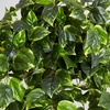 image:imageNearly Natural Pothos Hanging Basket UV Resistant IndoorOutdoor