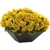 image:imageNearly Natural 15in Geranium with Black Planter UV Resistant IndoorOutdoor