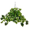 image:imageNearly Natural 24Inch UV Resistant Artificial Philodendron  IndoorOutdoor Hanging Basket with 50 Warm White LED Lights Battery Operated