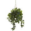 image:imageNearly Natural Pothos Hanging Basket UV Resistant IndoorOutdoor