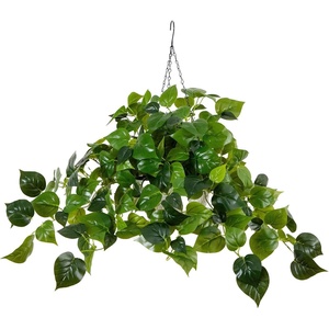 image:imageNearly Natural 24Inch UV Resistant Artificial Philodendron  IndoorOutdoor Hanging Basket with 50 Warm White LED Lights Battery Operated