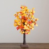 image:imageNearly Natural 21in PreLit Bright Autumn Eucalyptus Artificial Fall Tree with 50 Warm White LED Lights