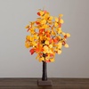 image:imageNearly Natural 21in PreLit Bright Autumn Eucalyptus Artificial Fall Tree with 50 Warm White LED Lights