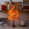 image:imageNearly Natural 2ft PreLit Autumn Maple Artificial Fall Tree with 24 Warm White LED Lights