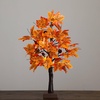 image:imageNearly Natural 2ft PreLit Autumn Maple Artificial Fall Tree with Acorns amp Pinecones  18 Warm White LED Lights