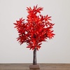 image:imageNearly Natural 2ft PreLit Red Autumn Maple Artificial Fall Tree with 50 Warm White LED Lights