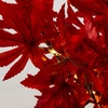 image:imageNearly Natural 2ft PreLit Red Autumn Maple Artificial Fall Tree with 50 Warm White LED Lights