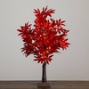 image:imageNearly Natural 2ft PreLit Red Autumn Maple Artificial Fall Tree with 50 Warm White LED Lights