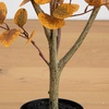 image:imageNearly Natural 3ft Autumn Eucalyptus Artificial Tree  Harvest Season Decor  Indoor Fall Foliage Display