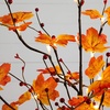 image:imageNearly Natural 3ft PreLit Autumn Maple Artificial Fall Tree with Berries and 36 Warm White LED Lights