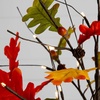 image:imageNearly Natural 3ft PreLit Autumn Maple Artificial Fall Tree with Pinecones Acorns and 36 Warm White LED Lights