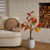 image:imageNearly Natural 3ft PreLit Autumn Maple Artificial Fall Tree with Pinecones Acorns and 36 Warm White LED Lights