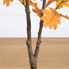 image:imageNearly Natural 4ft Artificial Autumn Oak Tree  Harvest Season Decor  Indoor Fall Foliage Display