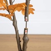 image:imageNearly Natural 4ft Artificial Autumn Oak Tree  Harvest Season Decor  Indoor Fall Foliage Display