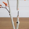 image:imageNearly Natural 4ft Autumn Paper Birch Artificial Fall Tree  Lifelike Foliage for Seasonal Home Dcor