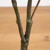 image:imageNearly Natural 4ft Autumn Sumac Artificial Fall Tree