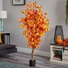 image:imageNearly Natural 5 ft Autumn Ficus Artificial Fall Tree with Pot